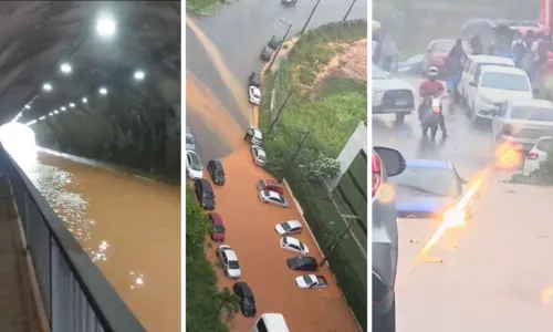  				 					Motoristas usam contramão para fugir de alagamentos em Salvador 				 				