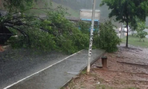 
				
					Motoristas usam contramão para fugir de alagamentos em Salvador
				
				