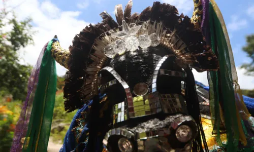 
				
					Movimento Boi Estrela de Igatu faz desfile de 18 anos no fim de semana
				
				