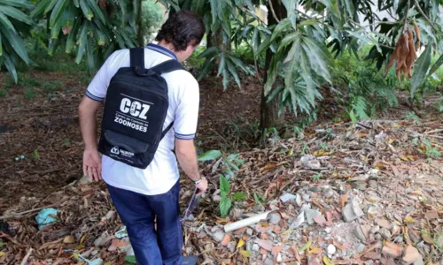 

					Muriçocas podem transmitir Febre do Nilo para humanos; entenda

				