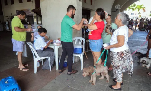 
				
					Mutirão oferece vacina V10 para cães gratuitamente na Lagoa do Abaeté
				
				