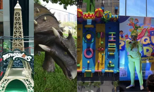 
				
					Parque, castelo inflável e mais: veja opções para crianças nas férias
				
				