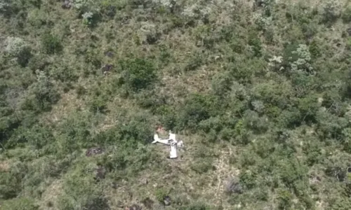 
				
					Piloto de avião que caiu na BA perdeu controle da aeronave, diz Cenipa
				
				
