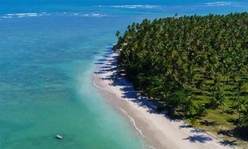  				 					Primeiro evento de paraquedismo em Boipeba será entre 10 e 14 de abril 				 				
