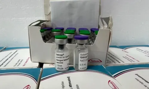  				 					Salvador amplia faixa etária para vacinação contra dengue nesta terça 				 				