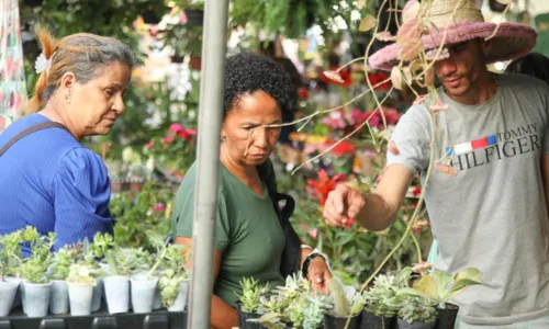  				 					Salvador recebe a 1ª Feira Agroecológica nesta quinta (14) 				 				