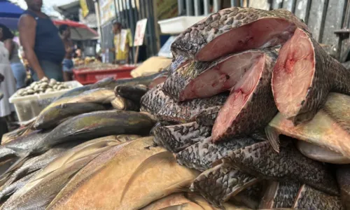 
				
					Semana Santa: como está o preço dos pescados nas feiras de Salvador?
				
				