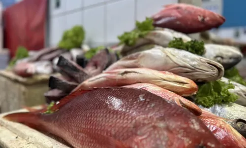  				 					Semana Santa: veja dicas de como escolher o melhor peixe para o almoço 				 				