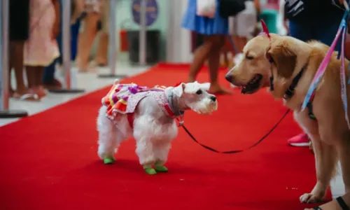 
				
					Shopping de Salvador recebe bloquinho com desfile de cachorros
				
				