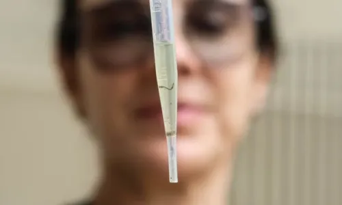 

					Subúrbio tem maior índice de infestação da dengue em Salvador

				