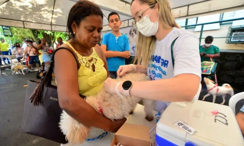 
				
					Vacina V10 será disponibilizada para cães de Salvador; veja detalhes
				
				