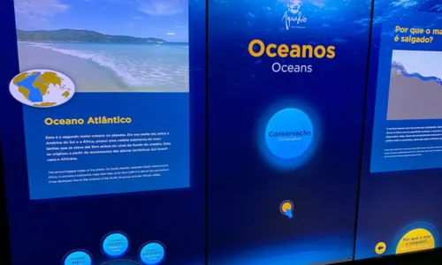 
				
					Vida marinha! Conheça os 12 principais aquários e oceanários do mundo
				
				