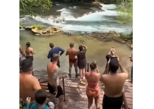 
				
					'A bicha é grande'! Sucuri gigante surpreende banhistas em cachoeira
				
				