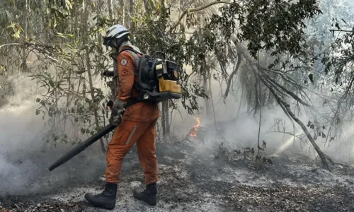 
				
					Após 13 dias, incêndio florestal na Serra do Barbado é controlado
				
				