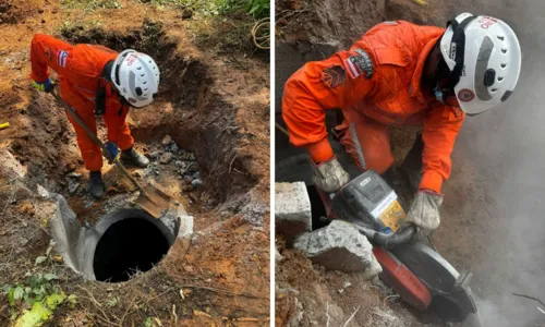 
				
					Após mais de 5h de resgate, égua é retirada de bueiro em Salvador
				
				