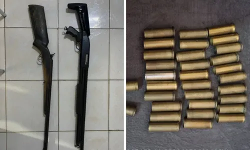 
				
					Armas são apreendidas em ação que investiga PMs por homicídios na BA
				
				