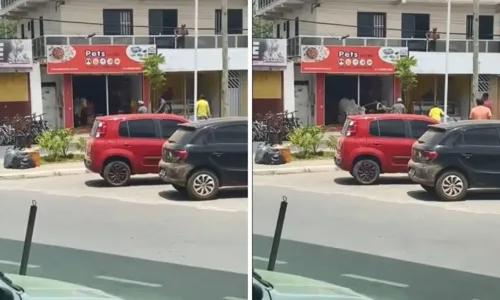 
				
					Boi invade petshop e causa correria em Amargosa
				
				