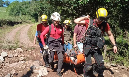 
				
					Bombeiro baiano relata cenário de 'destruição' no Rio Grande do Sul
				
				