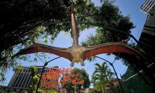 
				
					'Bora Ali?' Conheça o Parque dos Dinoussauros em Salvador
				
				