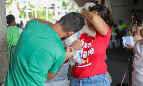 
				
					Cajazeiras recebe mutirão de vacina V10 gratuita para cães
				
				