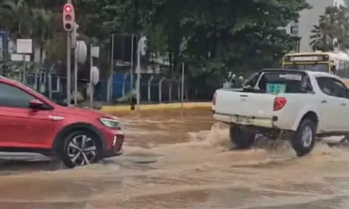 
				
					Chuvas e quedas de árvores causam interdições de trânsito em Salvador
				
				