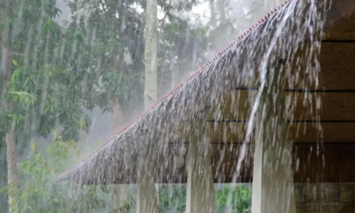 
				
					Coelba alerta para cuidados com rede elétrica durante as chuvas na BA
				
				