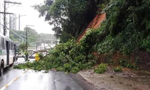 
				
					Coelba alerta para cuidados com rede elétrica durante as chuvas na BA
				
				