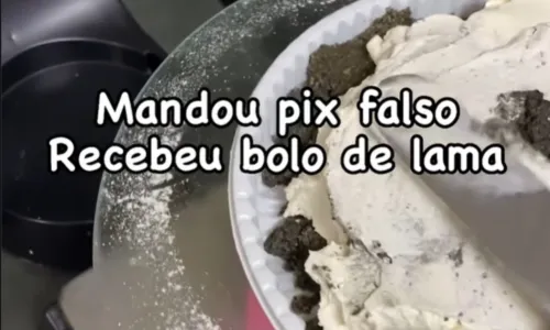 
				
					Confeiteira baiana recebe pix falso e engana golpista com bolo de lama
				
				