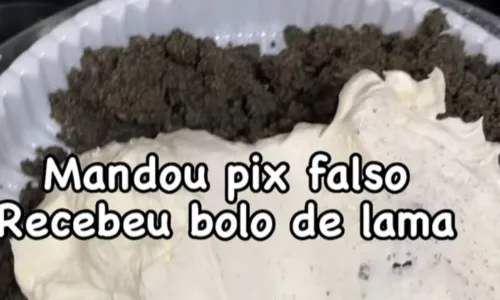 
				
					Confeiteira baiana recebe pix falso e engana golpista com bolo de lama
				
				