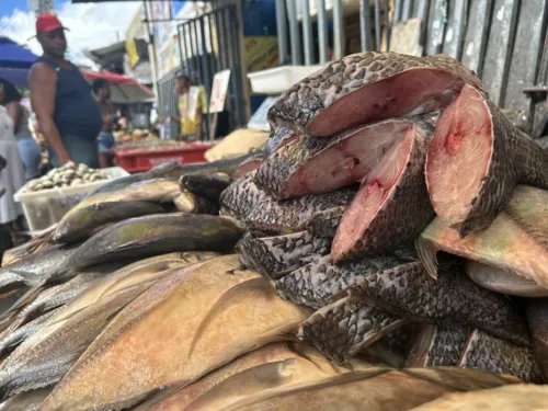 
				
					Confira como estão os preços dos pescados nessa Semana Santa
				
				