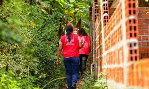 
				
					Cratera provoca interdição de mais de 35 casas em Candeias, na Bahia
				
				