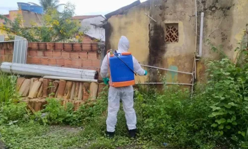 
				
					Dengue na Bahia: mortes sobem para 21 e 285 cidades estão em epidemia
				
				