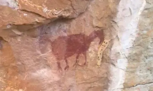 
				
					Desenho pré-histórico de lhama gigante é encontrado no oeste da Bahia
				
				