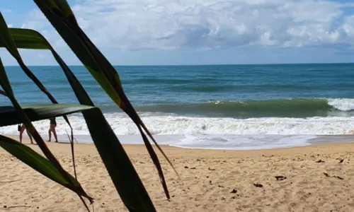 
				
					Do Porto a Barra Grande: veja praias mais badaladas no verão da Bahia
				
				