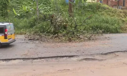 
				
					Em 16 dias, chuva em Salvador atinge quase o dobro previsto para o mês
				
				