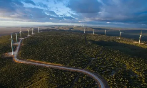 
				
					Empresa oferece vagas em obra de construção de parque eólico na Bahia
				
				