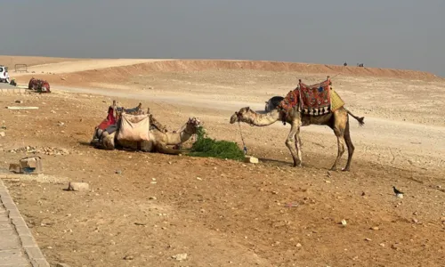 
				
					Eu falei Faraó! Veja dicas úteis para uma viagem ao Cairo
				
				