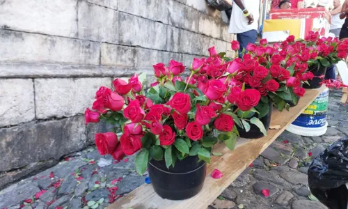 
				
					FOTOS: festa de Santa Bárbara reúne devotos no Centro Histórico
				
				