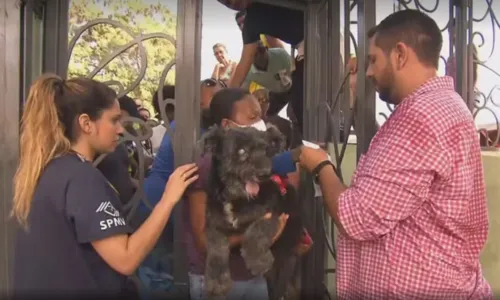 
				
					Filas marcam 1º dia de atendimento no Hospital Público Veterinário
				
				