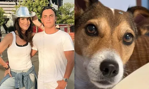 
				
					Filho de Ivete Sangalo pede ajuda para encontrar cadela de estimação
				
				