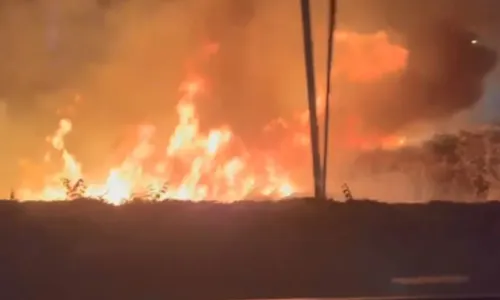 
				
					Fogo no norte da BA atinge área equivalente a 500 campos de futebol
				
				