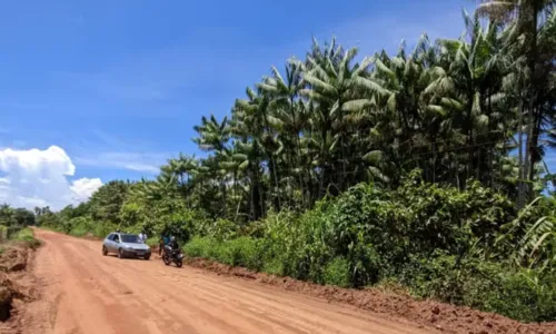 
				
					Funcionário de fábrica de polpas é eletrocutado durante colheita na BA
				
				