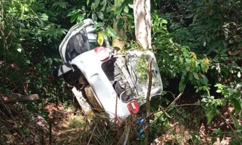 
				
					Garota de 12 anos morre em batida de carro com árvore na Bahia
				
				