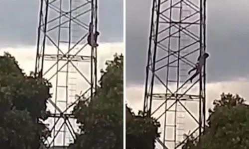 
				
					Homem é atacado por abelhas e cai de torre telefônica na Bahia
				
				