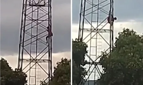 
				
					Homem é atacado por abelhas e cai de torre telefônica na Bahia
				
				