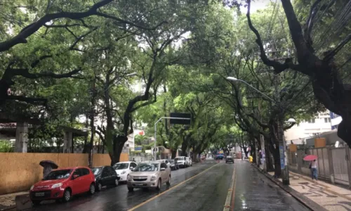 
				
					Homem é espancado e morre em bairro nobre de Salvador
				
				