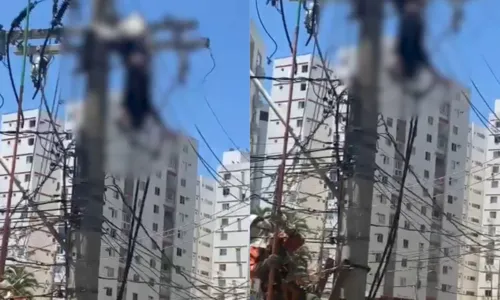 
				
					Homem tenta furtar cabos, recebe carga elétrica e fica preso em poste
				
				