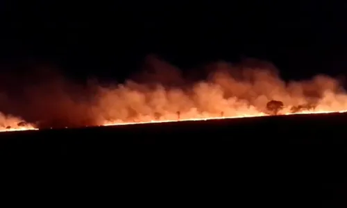 
				
					Incêndio atinge área de vegetação de parque em Sento Sé; VÍDEO
				
				