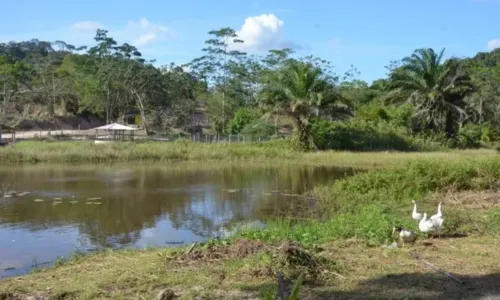 
				
					Incra reconhece terras de Mãe Bernadete como remanescente de quilombo
				
				