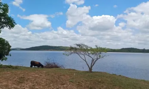 
				
					Incra reconhece terras de Mãe Bernadete como remanescente de quilombo
				
				